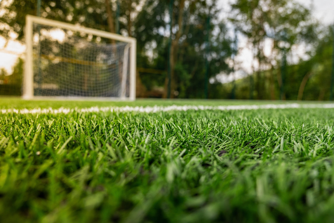 Sports turf supply